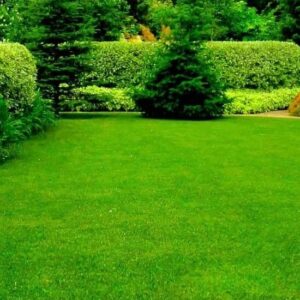 Advantages Of Artificial Grass For Your Garden