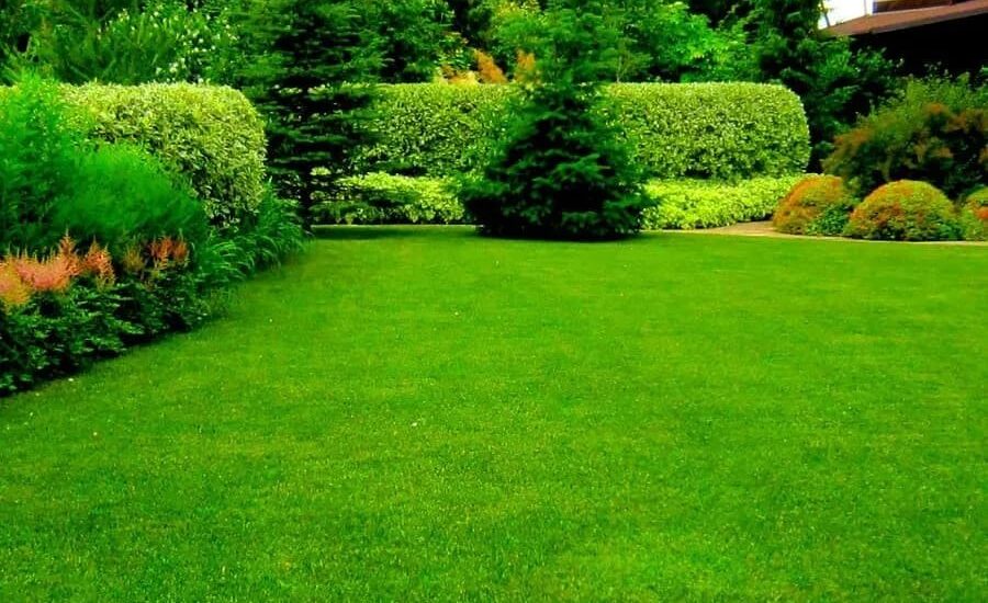 Advantages Of Artificial Grass For Your Garden
