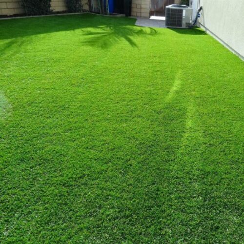 Green Grass Carpet