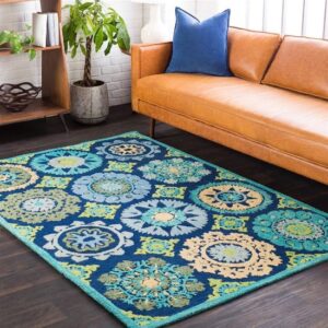 Easy-care area rug for effortless cleaning