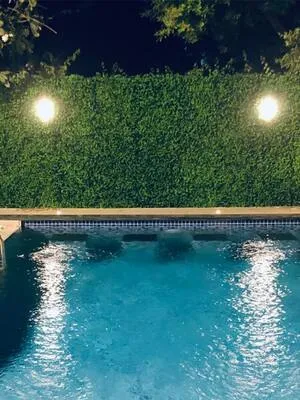 Illuminated pool surrounded by lush greenery at night.