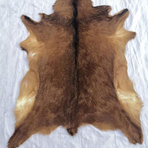 Deer Skin Rug