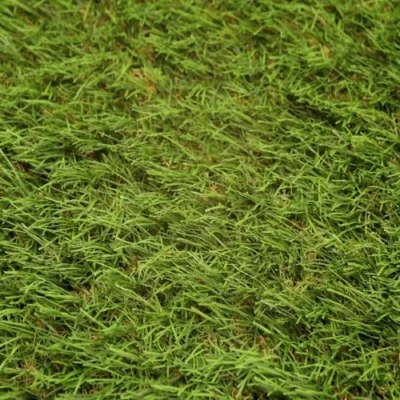 Boundary Fake Grass