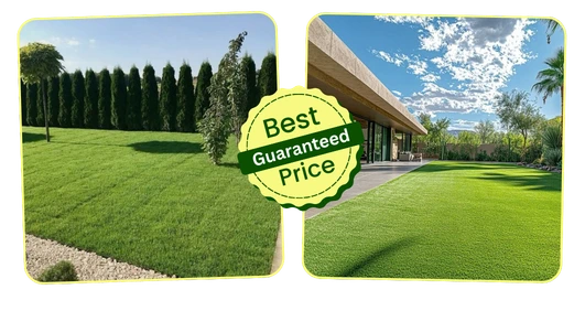 Limited Time Discount