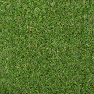 Sherbrooke 30mm Artificial Grass